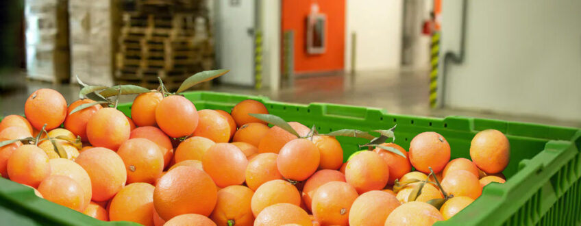 The treatment of citrus fruits of goods arriving in the EU.